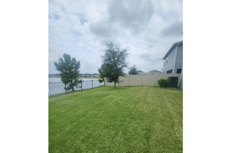 Scotts Lawns