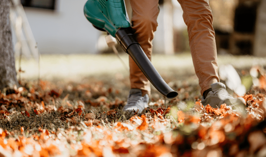 Leaf Removal